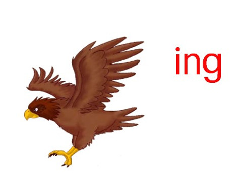 www.gaofen123.comСѧ